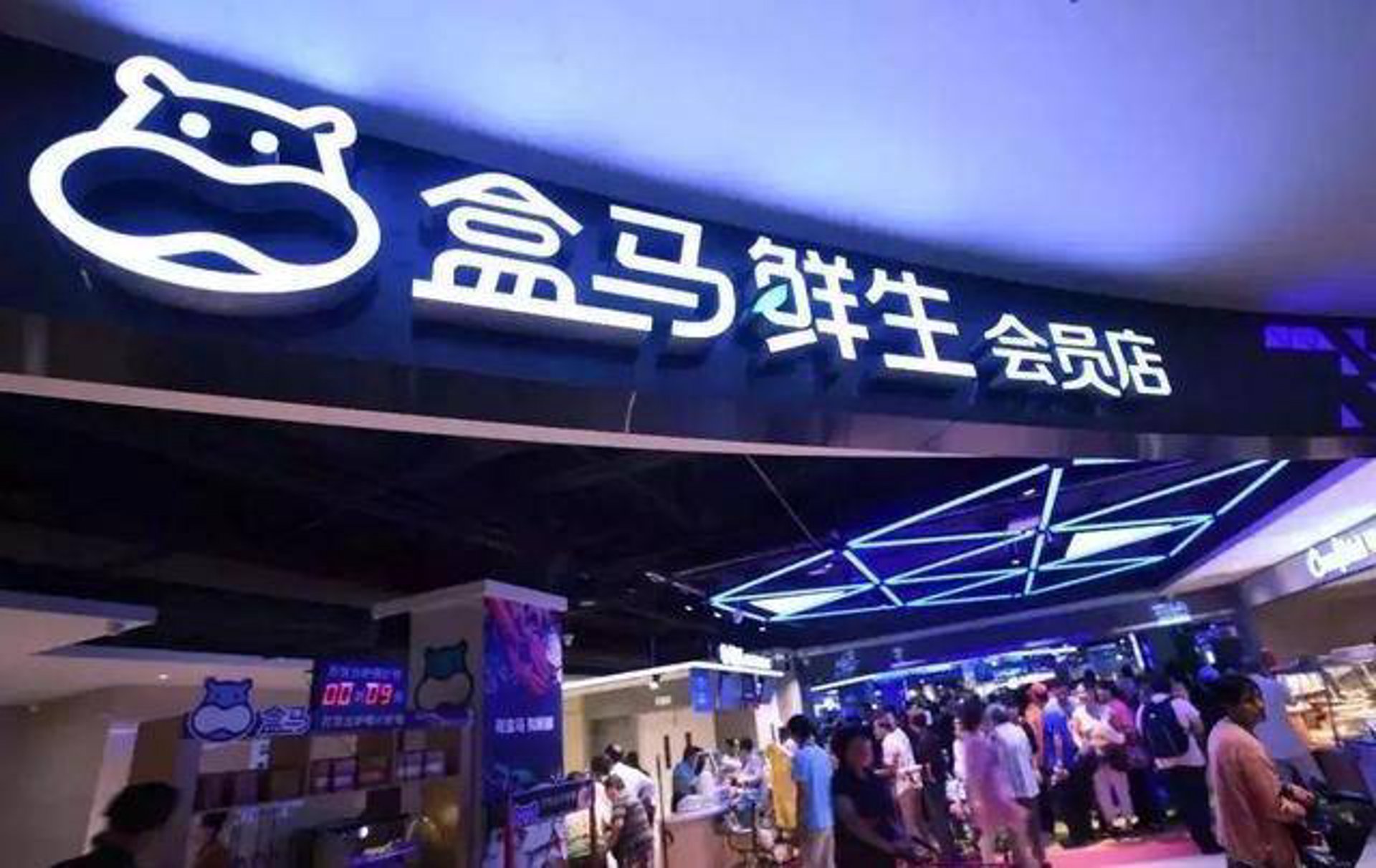 北京沐荷电子商务：数字化浪潮下的品质购物新体验